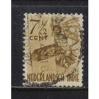 NL Колонии Нидерландская Индия  1948 Народные танцы Даяки Борнео #319