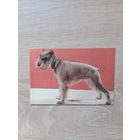 Календарик 1993