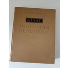 Синельников Р.Д. Атлас анатомии человека Том 1