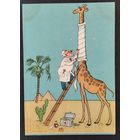 Вальк Г. Айболит. 1956 г. Читая.