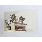 Вендер 1957 Рига школа