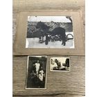 Фото.1930-е годы.Пружанский р-н.