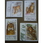 Беларусь 2000 Рысь Фауна Кошки **