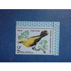 Ссср 1979. Иволга. будет не Угловая.