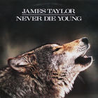James Taylor - Never Die Young 1988, LP