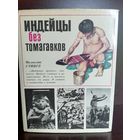 Милослав Стингл. Индейцы без томагавков.