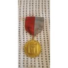 Медаль серебро 15 грамм позолота. Франция