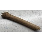 Фрагмент веточки старого платана с аллеи у виллы на окраине Берлина, где 20 января 1942 г. проходила Ванзейская конференция - по "окончательному решению еврейского вопроса"