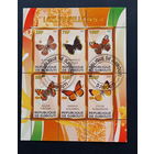 Бабочки насекомые фауна      БЛОК сто