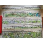 Карты районов Белорусской СССР: Лепель, Полоцк, Городок, Петриков, Ошмяны. 1: 200000. 1990, 1991 г. Цена за 1.