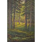 Лесное солнце