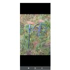 Катушка для Квазара 45см