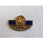 Знак. Значок. "Почетный знак". "Немецкий спортивный комитет". Южная группа войск. Армия стран Варшавского договора. ГДР. Германия. Ретро СССР. м