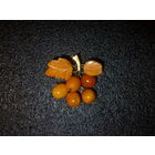 Антикварная Янтарная Брошь 20-ые гг. Кенигсберг RRR