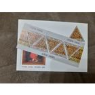 Слуцкие пояса,РБ,2014 год,блок марок и КПД