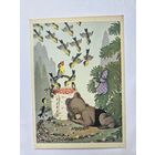 Бялковская 1957 Медведь Редкая