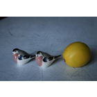 Птицы Лфз Ленинградский завод