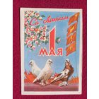 С Праздником 1 Мая! Белорусская открытка. Зеленов 1960 г. Чистая. Кр1.