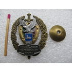 Знак. Гомельская пограничная группа. 1997. тяжёлый, винт