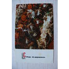 Открытка из комплекта "Блюда литовской кухни"; 1974 (1 шт., 9*14 см).