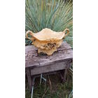 Старая "ваза-конфетница" большая, карболит! 1950-60г! ретро-ссср! Красивая!