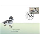 Беларусь 2016 КПД Гоголь обыкновенный