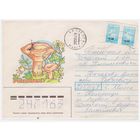 Конверт СССР, прошедший почту. Художник Т. Усова