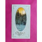 С новым годом! Чистая. Двойная. 1981 года. Лукьянов. 2600.