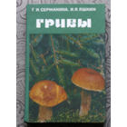 Г.И.Сержанина, И.Я.Яшкин Грибы