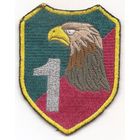 Нарукавный знак 1-го разведывательного батальона Войска Польского,г.Седлице