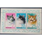 КНДР 1977 кошки.