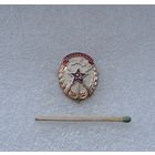 ДОСААФ СССР.