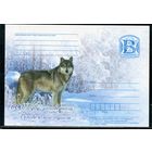 Беларусь 2009. ПК. Беловежская пуща. Волк