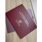 Банкнота. РВ01002 80 лет Победы советского народа в Великой Отечественной войне 80 рублей UNC .