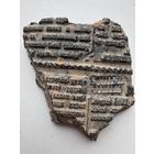 Матрица свинцовая цельнолитая (не наборная) для печатного издания времен императорской России