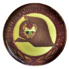 Румыния  Юный друг пожарной дружины. Отличник