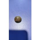 Пуговица гренада