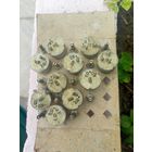 Резисторы переменные СП2-2   470 Ом (21 шт.) с хранения