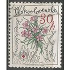 Чехословакия. Цветы. Ледниковая гвоздика. 1979г. Mi#2496.