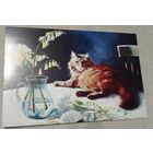 Посткроссинг. Открытка "Хозяин", худ.Мария Павлова (10х15). Прошла почту. Художественные марки, чёткий штемпель.