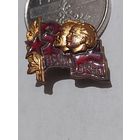 Значок " Вечная дружба т.м. "