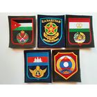 5 шевронов на липучке из 5 стран