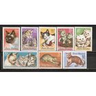 ФФ1 Румыния 1965 Кошки