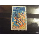 1966 Французская колония французский Берег Сомали фауна моря отличная сохранность (5-1)