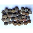 Пуговицы. Польша. Малые. С рубля