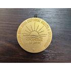 Настольная медаль выпущенная советом спортивных обществ и организаций города Комсомольск-на-Амуре . (алюминий )