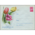 Художественный маркированный конверт СССР N 379 (08.03.1957) Тюльпаны.