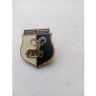 ЗНАЧОК ВДНХ-СССР