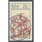 ЮАР. Цветы. Нерине. 1985г. Mi#675.