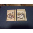 Беларусь 2009 птицы серия